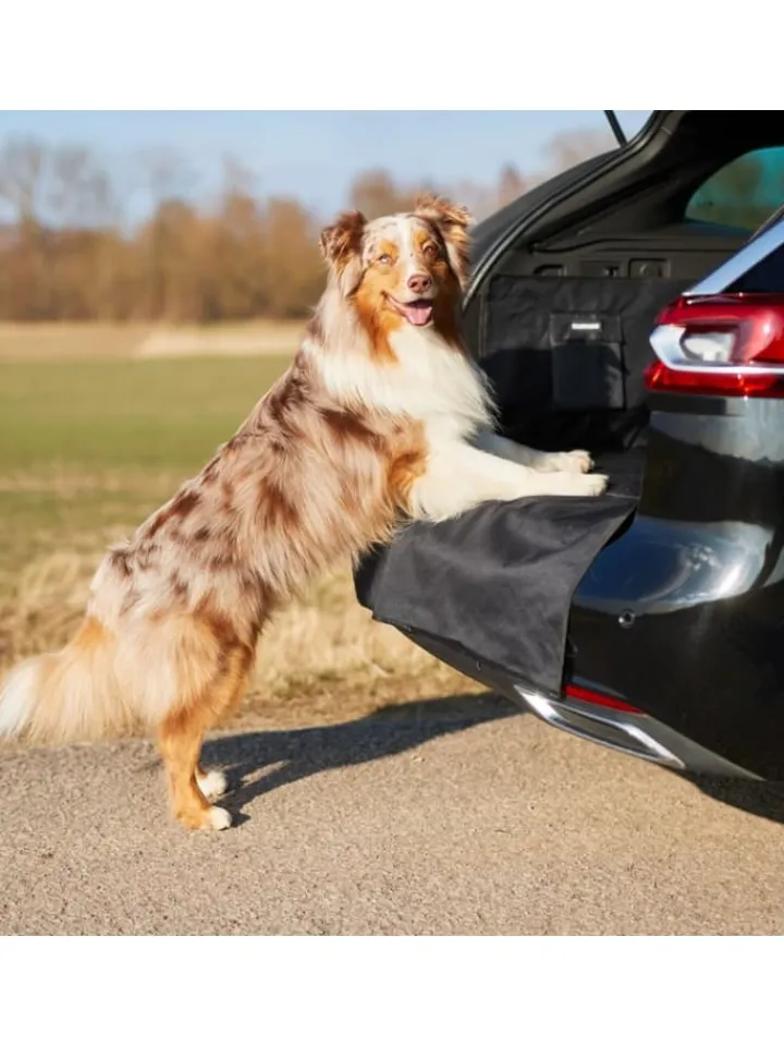 FLUFFINO Hunde<Kofferraumschutz für Hund inkl. Seiten- & Ladekantenschutz dunkelgrau
