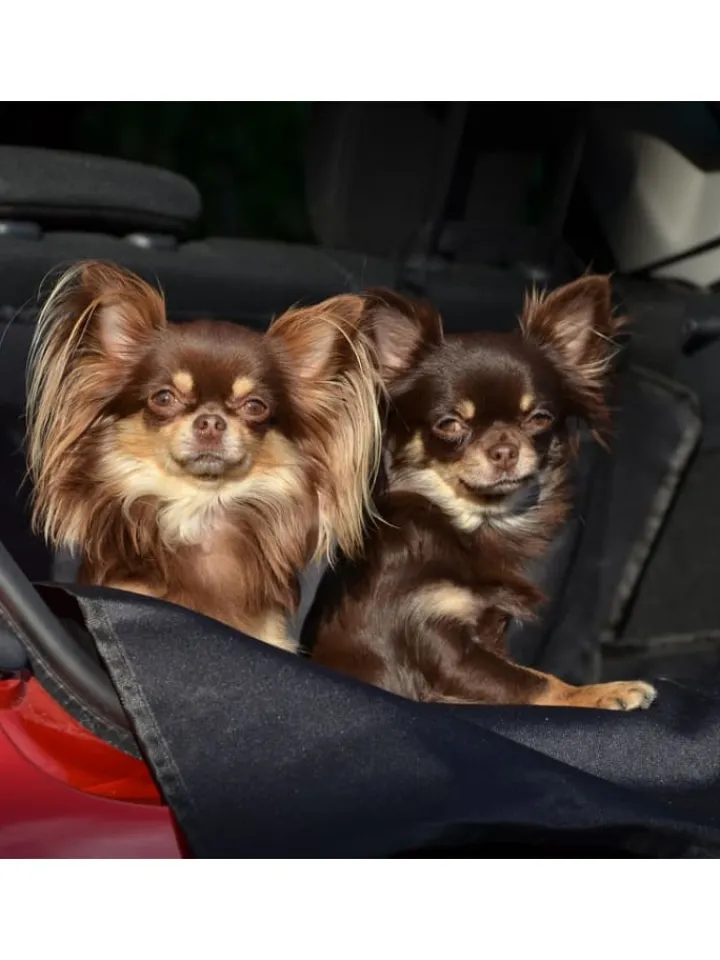 FLUFFINO Hunde<Kofferraumschutz für Hund inkl. Seiten- & Ladekantenschutz dunkelgrau