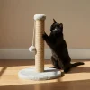 Paws&Whiskers Katzen<Kratzbaum "Koris" in Grau - (H)52 x Ø 30 cm