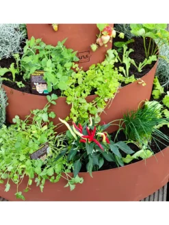 UNUS Gartendekoration<Kräuterschnecke Rostoptik in Braun