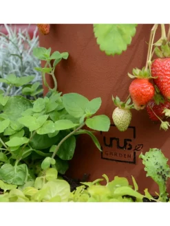 UNUS Gartendekoration<Kräuterschnecke Rostoptik in Braun