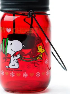 Trendy Kitchen by EXCÉLSA Kerzen, Vasen & Mehr<Laterne "Peanuts" in Rot - (H)13 x Ø 7,5 cm