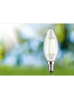 paulmann Leuchtmittel<LED Eco-Line Kerze E14 840lm 4W 4000K klar 230V A
