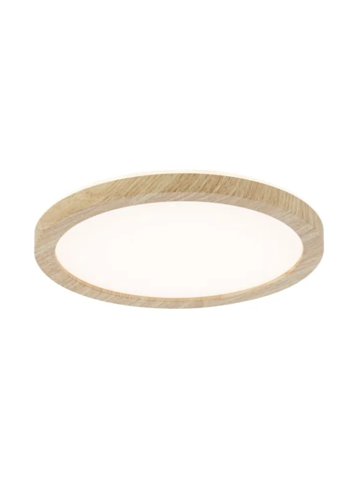 paulmann Decken- & Hängeleuchten<LED Panel Atria Shine