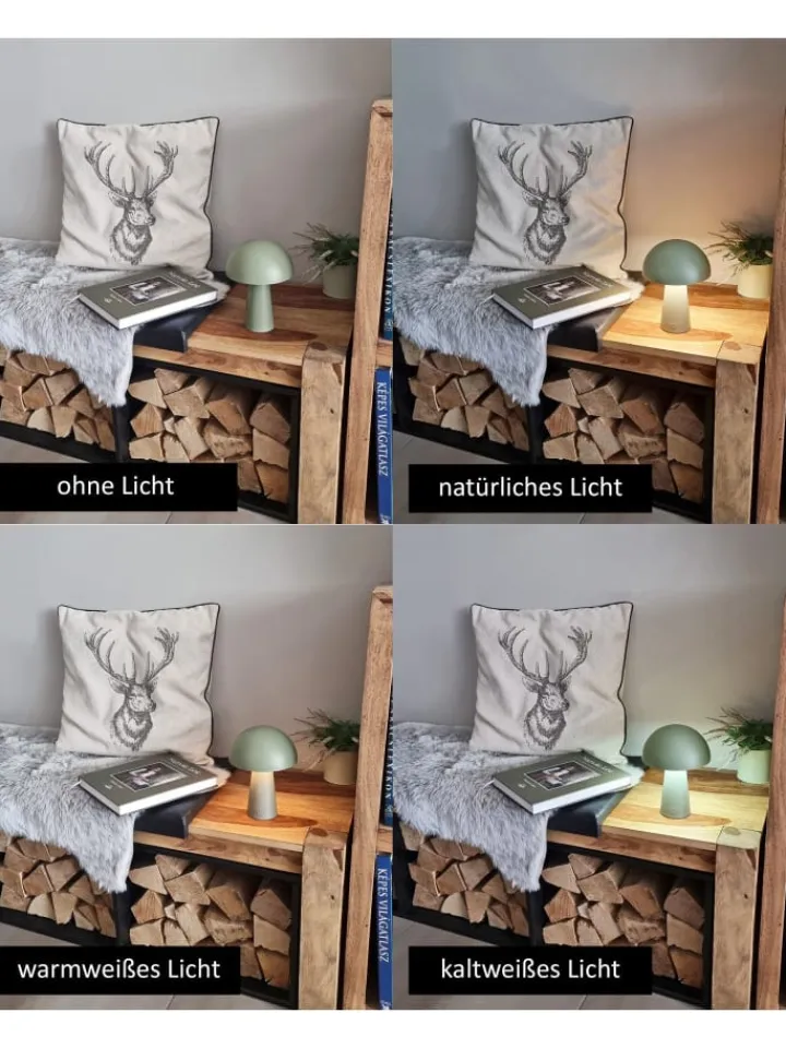 Coen Bakker Tischleuchten<LED Pilz Tischlampe dimmbar Touch Farbwechsler IP44 Innen Außen 15x21cm Grün