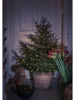Konstsmide Lichterketten & Dekobeleuchtung<LED-Baummantel in Bernstein