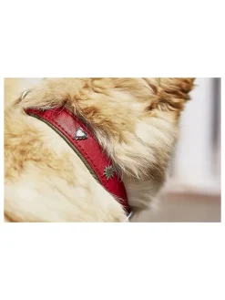 Laboni Hunde<Leder-Halsband "Edelweiss" in Rot/ Grün