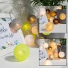 Hollybell Lichterketten & Dekobeleuchtung|Lichterketten & Deko-Leuchten<LED-Lichterkette in Bunt - (L)200 cm