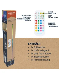 GRUNDIG Stehleuchten<LED-Standleuchte in Schwarz - (B)43 x (H)140 cm