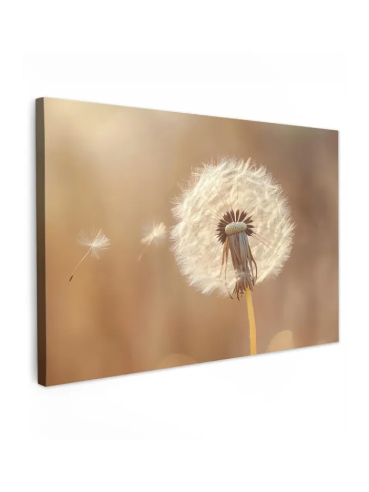 MuchoWow Wanddekoration<Leinwand bilder Nahaufnahme Flaum (BxH)