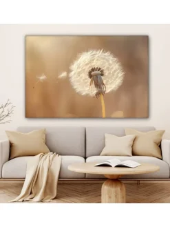 MuchoWow Wanddekoration<Leinwand bilder Nahaufnahme Flaum (BxH)