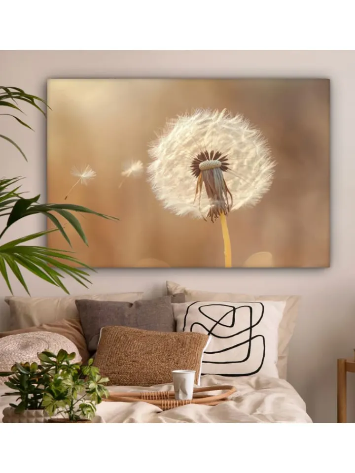 MuchoWow Wanddekoration<Leinwand bilder Nahaufnahme Flaum (BxH)