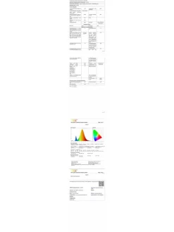 LUMINEO Lichterketten & Dekobeleuchtung<Lichterkette BASIC 240 LED 18 m, transparentes Kabel in warm weiß