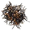 Butlers Lichterketten & Dekobeleuchtung<Lichterkette BRIGHT LIGHTS 576 in Schwarz