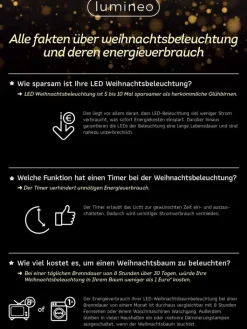 LUMINEO Lichterketten & Dekobeleuchtung<Lichterkette COMPACT 1000 LED 22,5 m, grünes Kabel in klassisch warm