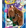 Ravensburger Kreativbedarf & Do-It-Yourself<Malen nach Zahlen-Set "Pferde" - ab 7 Jahren