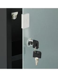 relaxdays Badmöbel<Medizinschrank in Schwarz - (B)27 x (H)57 x (T)12 cm