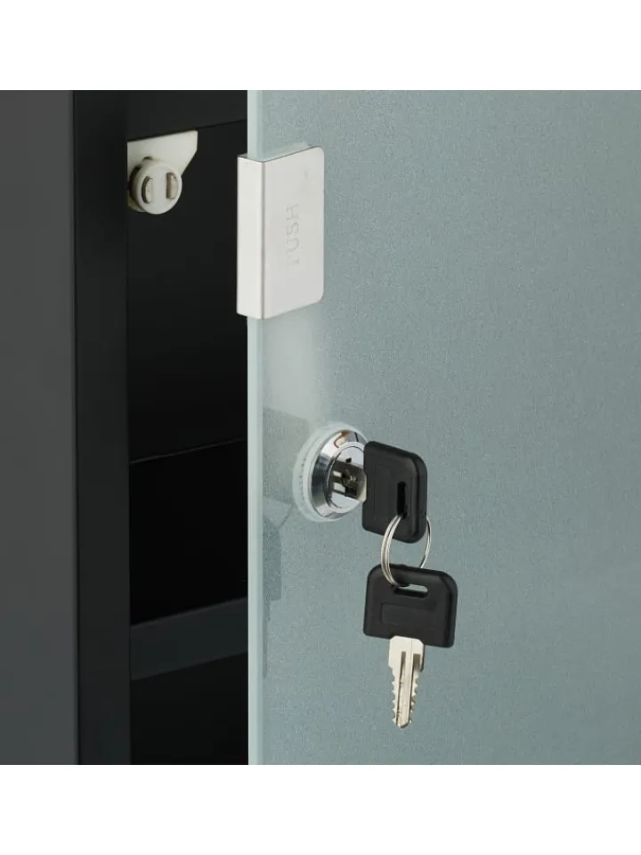relaxdays Badmöbel<Medizinschrank in Schwarz - (B)27 x (H)57 x (T)12 cm