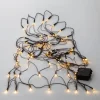 STAR Trading Lichterketten & Dekobeleuchtung<Netz LED-Lichterkette ,Akku, Batterie, warmweiß, outdoor, 80 LEDs, 15
