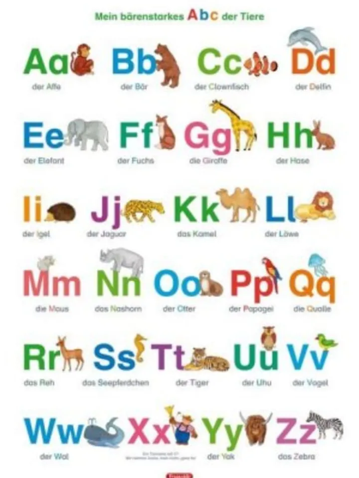 Spielend Lernen Tv & Audio<Nonbook - Fragenbär-Lernposter: Mein bärenstarkes Abc der Tiere (in d