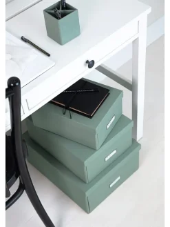 BigsoBox Kisten & Körbe<Ordnungsbox in Grün - (B)22,5 x (H)13,5 x (T)31,5 cm