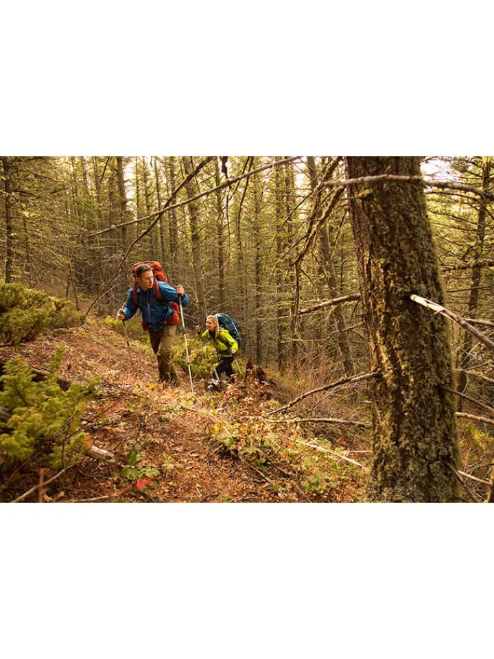 Garmin Technikzubehör<Outdoor-Handgerät "GPSMAP 65" in Schwarz