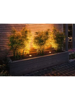 paulmann Außenleuchten<Plug & Shine LED Bodeneinbauleuchte Floor Basisset insektenfreundlich