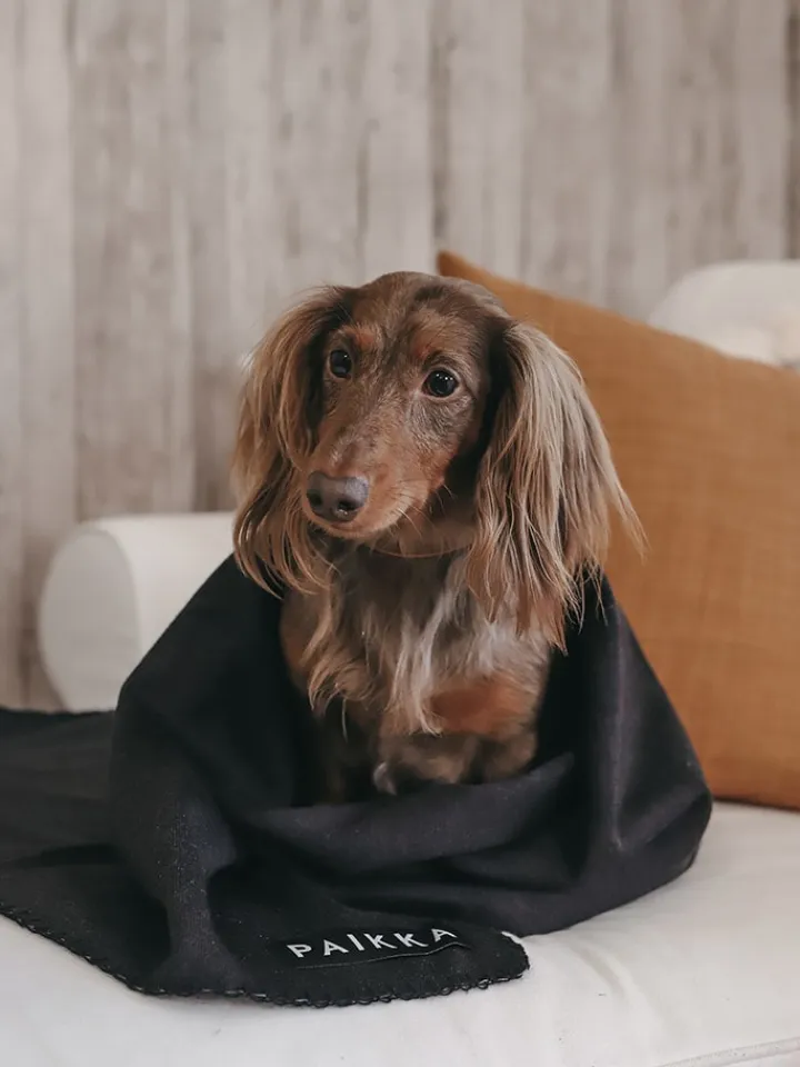 Paikka Hunde<Recovery-Hundedecke in Schwarz