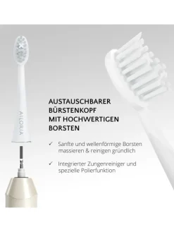 Ailoria Zahn & Mundpflege<SHINE BRIGHT USB-Schallzahnbürste in weiß