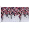 Wenko Gartenmöbel<Sichtschutz "Roses" in Grau/ Pink - (B)500 x (H)85 cm