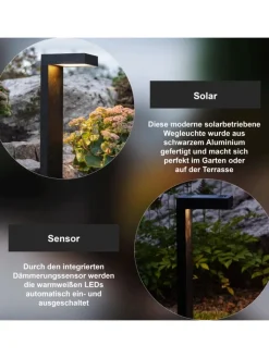 STAR Trading Außenleuchten<Solar Wegeleuchte Vicini in Schwarz
