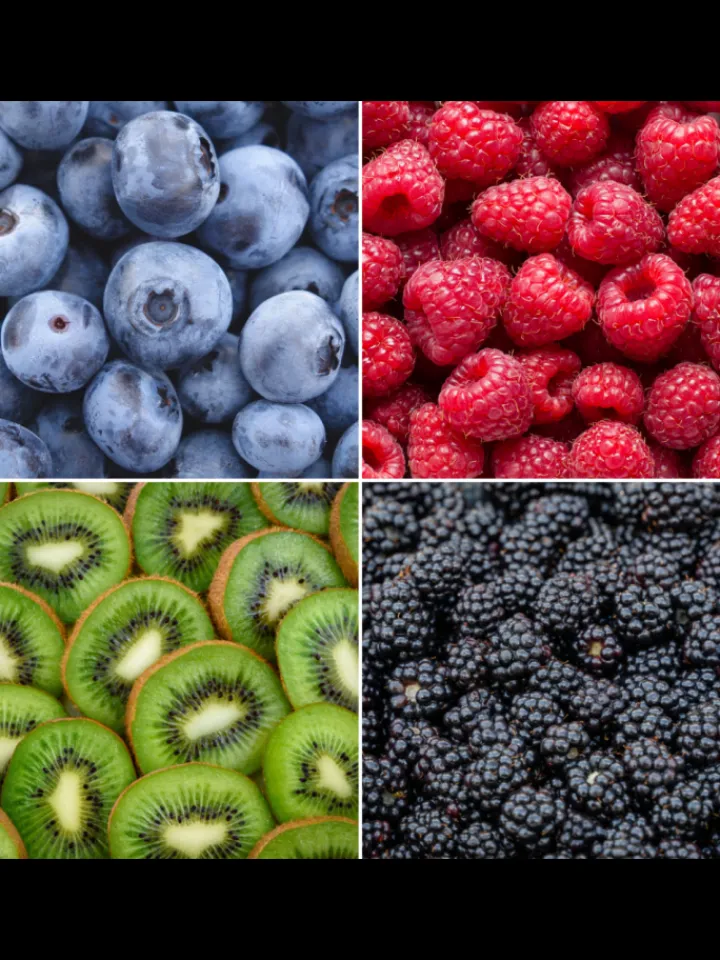 NatureNest Pflanzen & Zubehör<Sommerfrüchte BIO-Obstpflanzen-Mix-Set mit 4 verschiedenen Sorten