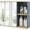 COSTWAY Badmöbel<Spiegelschrank Bad hängend 60 x 20 x 50 cm in Grau