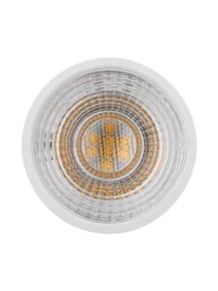 paulmann Leuchtmittel<Standard 230V LED Reflektor 1er-Set G
