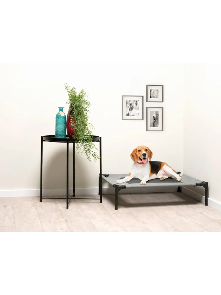 Edco Hunde<Tierbett in Grau - (B)81 x (H)17 x (T)63,5 cm
