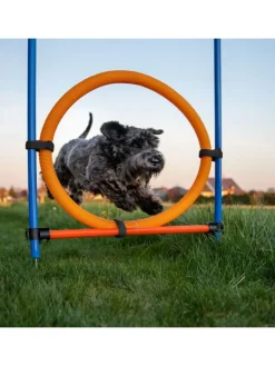 relaxdays Hunde<76-tlg. Agility Set in Blau/ Orange