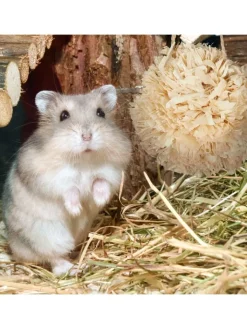 relaxdays Kleintiere<5-tlg. Hamsterzubehör Set in Natur