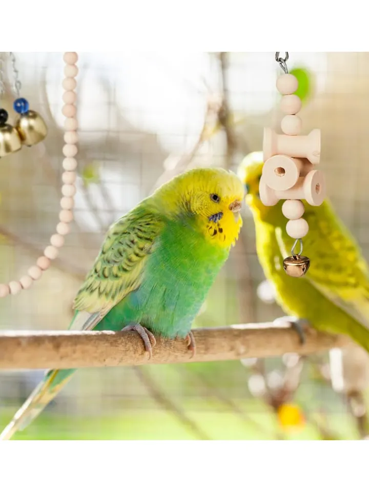 relaxdays Vögel<7-tlg. Vogelspielzeug in Natur