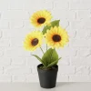 Boltze Kerzen, Vasen & Mehr<Topfpflanze "Sonnenblume" in Grün/ Gelb - (H)33 x Ø 25 cm