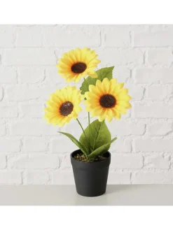 Boltze Kerzen, Vasen & Mehr<Topfpflanze "Sonnenblume" in Grün/ Gelb - (H)33 x Ø 25 cm