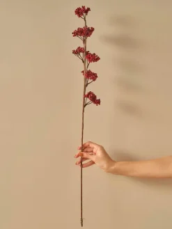 BELLA MAISON Kerzen, Vasen & Mehr<Trockenpflanze "Christmas Dal" in Rot - (H)75 cm