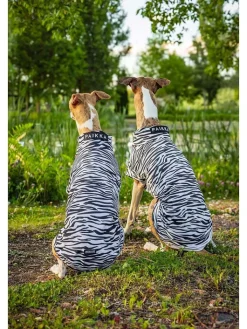 Paikka Hunde<UV&Bug-Hundeshirt in Schwarz-Weiß
