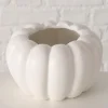 Boltze Kerzen, Vasen & Mehr<Vase "Dima" in Weiß - (H)10 x Ø 16 cm