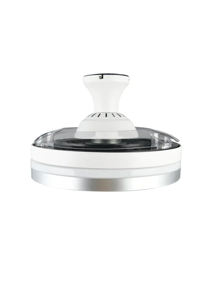 Reality Leuchten Klima & Haushalt<Ventilator LINDBERG in titanfarbig
