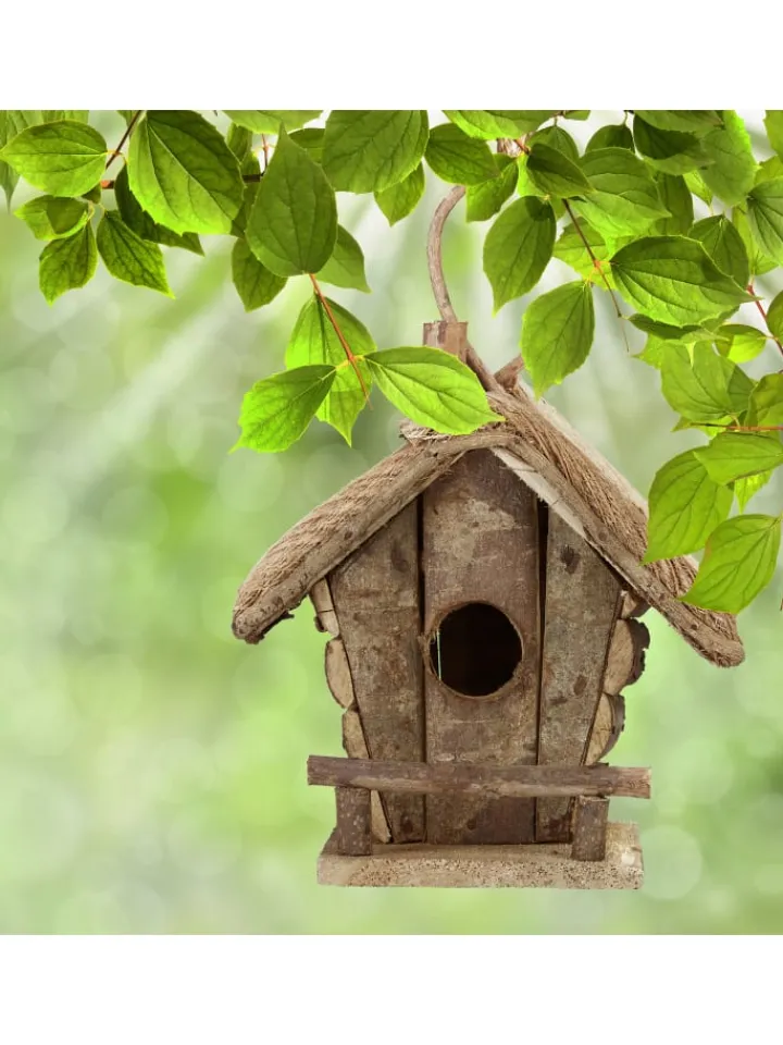 relaxdays Vögel<Vogelhaus in Natur - (B)20,5x (H)28,5 x (T)17,5 cm