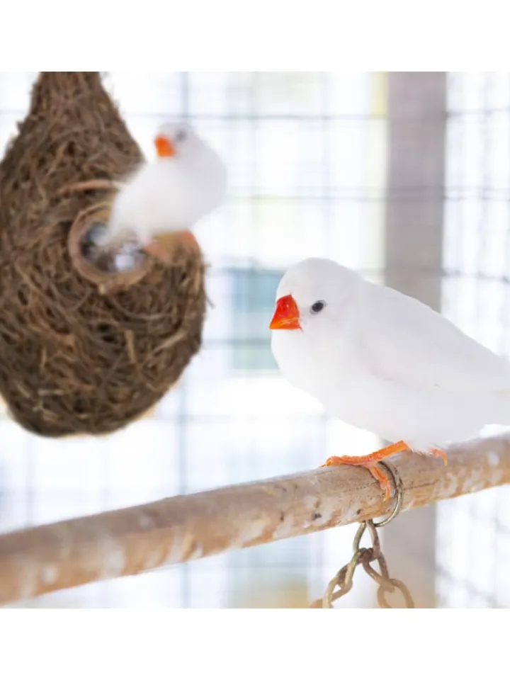 relaxdays Vögel<Vogelnest "Tropfen" in Natur