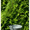 POSIWIO Gartendekoration|Gartendekoration<Vogeltränke in Grau - (B)23 x (H)56 x (T)21 cm