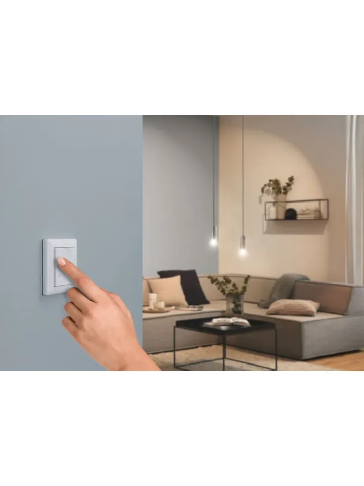 paulmann Smarthome & Wetterstationen<Wandschalter On/Off/Dimm