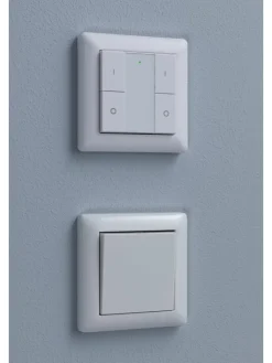 paulmann Smarthome & Wetterstationen<Wandschalter On/Off/Dimm