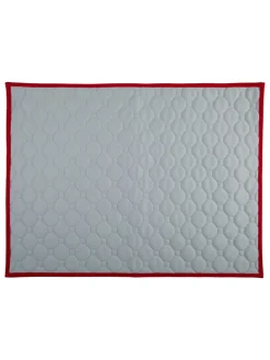 Edco Hunde<Welpen-Trainingsmatte in Grau - (L)60 x (B)45 cm